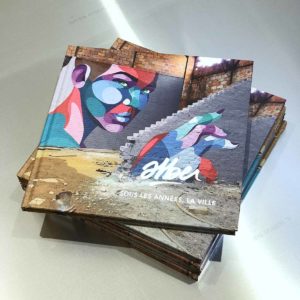 Livre street art de l'artiste bordelais Alber en vente à la galerie