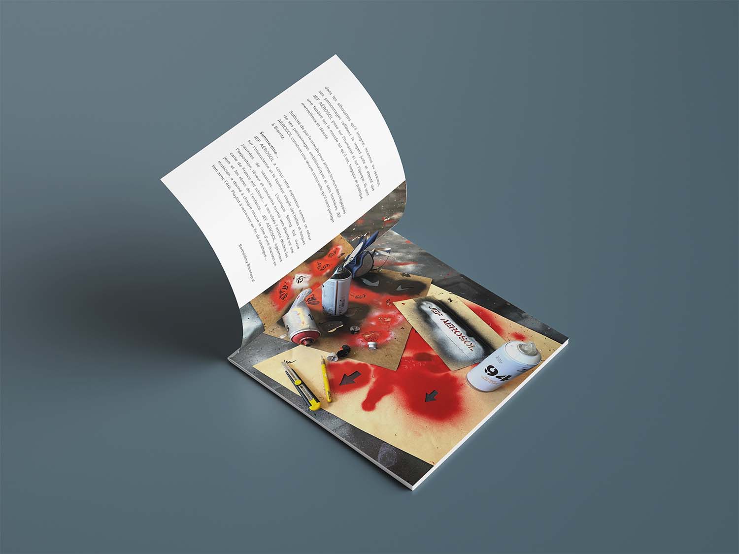 catalogue de l'exposition de Jef Aérosol summertime Paris