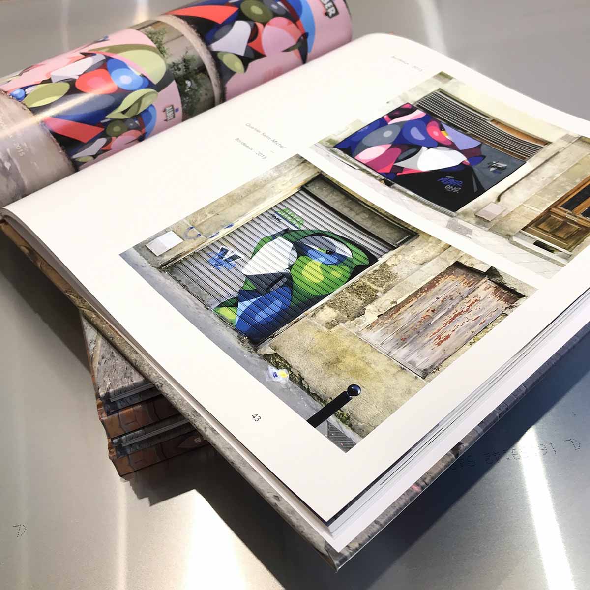 Photo du livre sur l'artiste bordelais Alber représentant des fresques street art